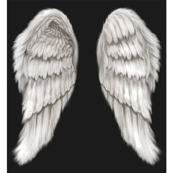 Angel Wings PSD Angel Wings PSD