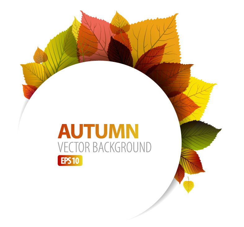 Autumn Leaves Vector Graphic