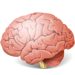 Brain Icon