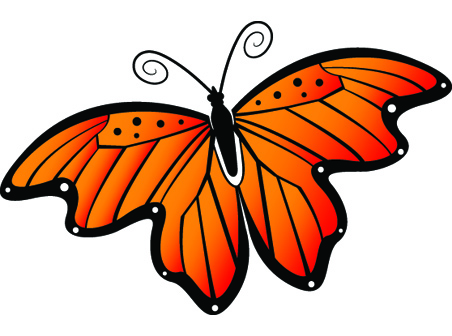 Butterfly Vector Illustration