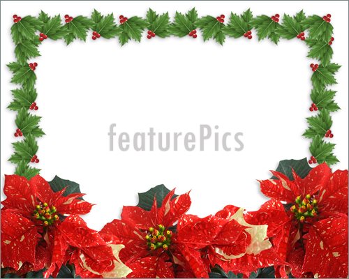 Christmas Holly Poinsettia Border