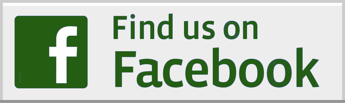 Facebook Logo Green