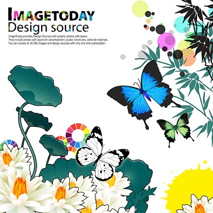 Free Butterfly PSD File Free Butterfly PSD File