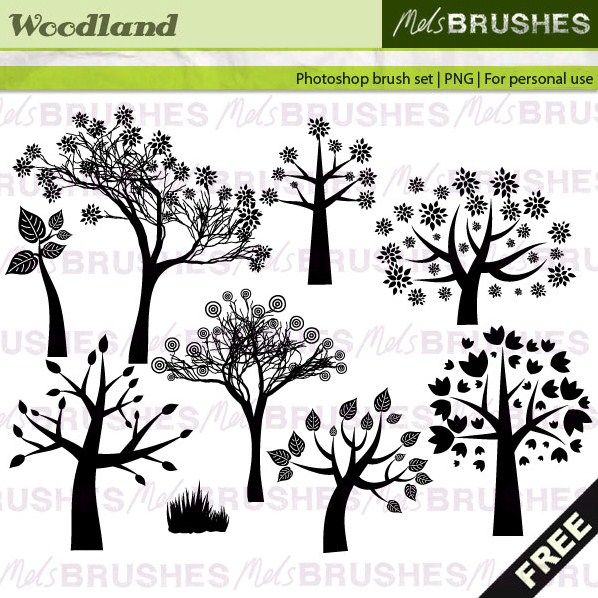 Free Photoshop Tree Brush Free Photoshop Tree Brush