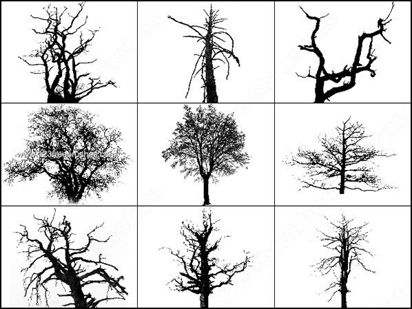 Free Photoshop Tree Brushes