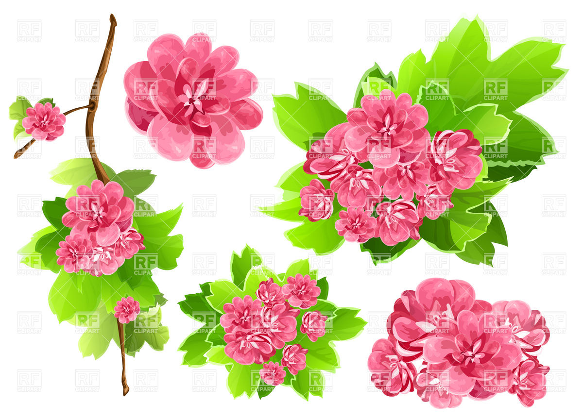 Free Spring Flower Clip Art