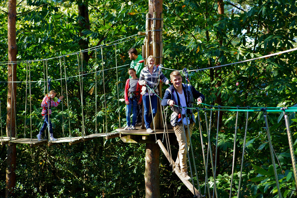 Go Ape Grizedale Forest