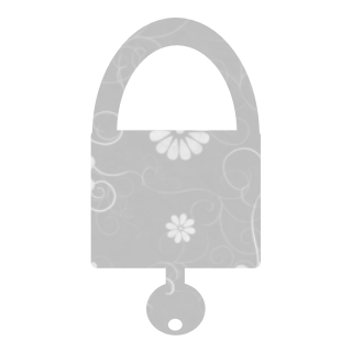 Gray Lock Icon