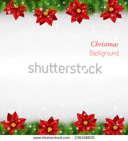 Green Background with Borders Poinsettia