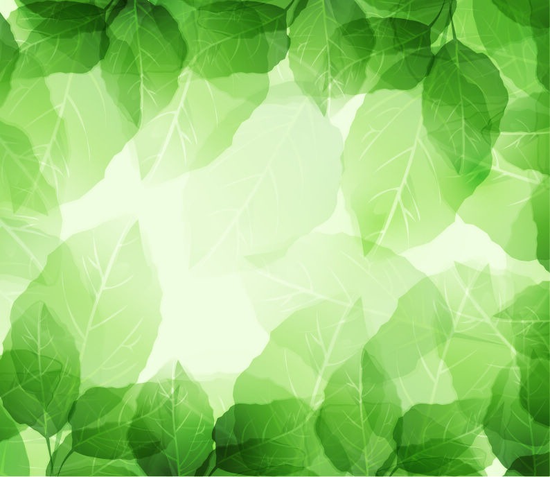 Green Leaves Background