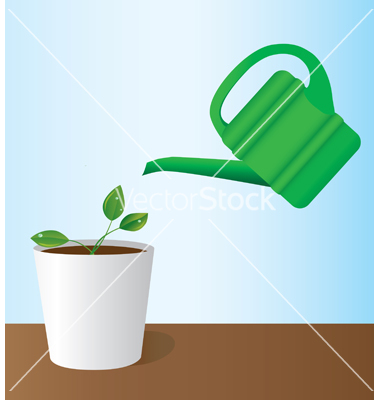 Growing Plant Vector