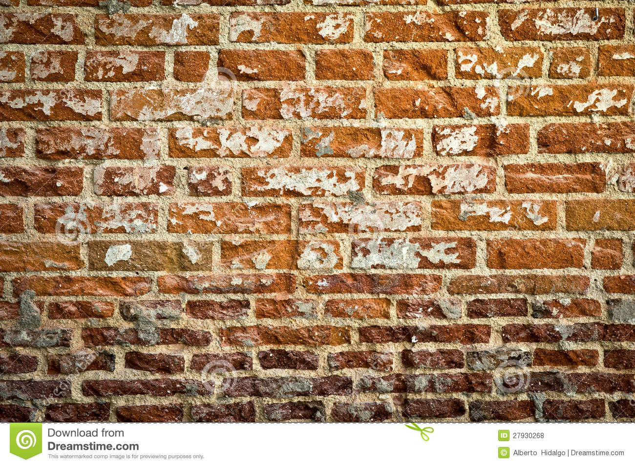 Grunge Brick Walls