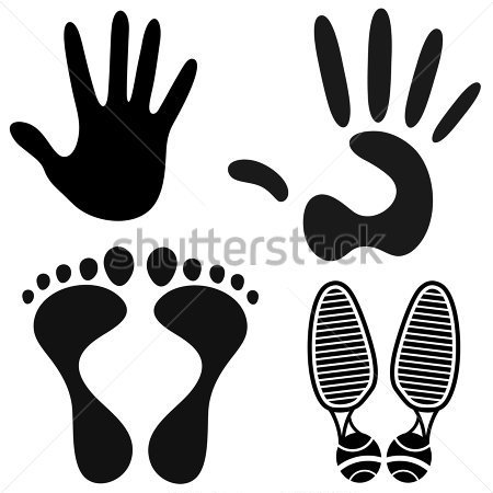 Hand Print Vector