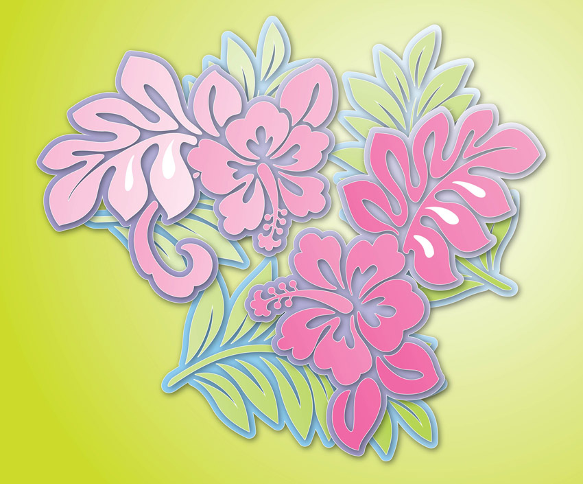 Hibiscus Flower Vector