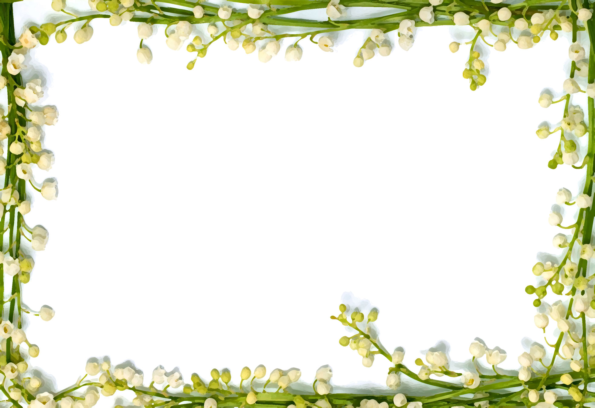 Lily Border Clip Art Lily Border Clip Art