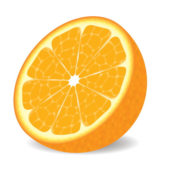 18 Orange Vector Objects Images