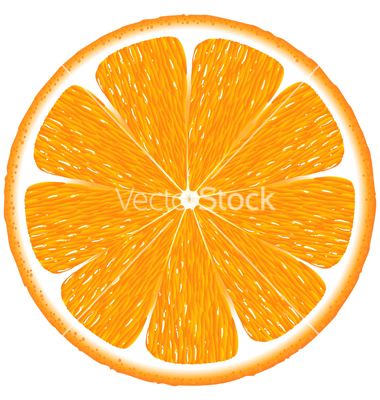 Orange Vector