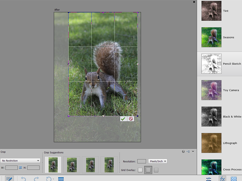 Photoshop Elements 13