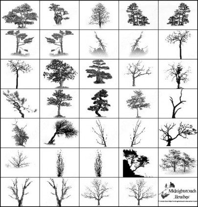 Photoshop Tree Brushes