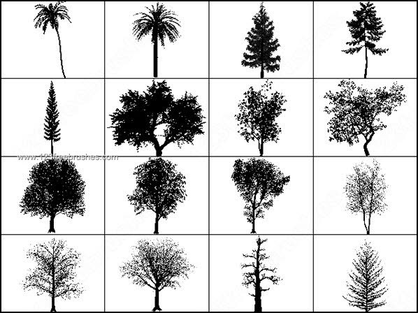 Photoshop Tree Brushes