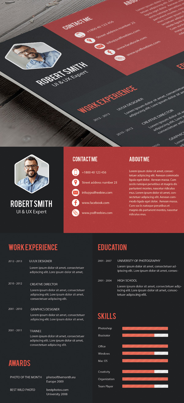 Professional Resume Templates Free