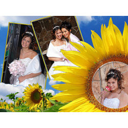 Quinceanera Templates Photoshop