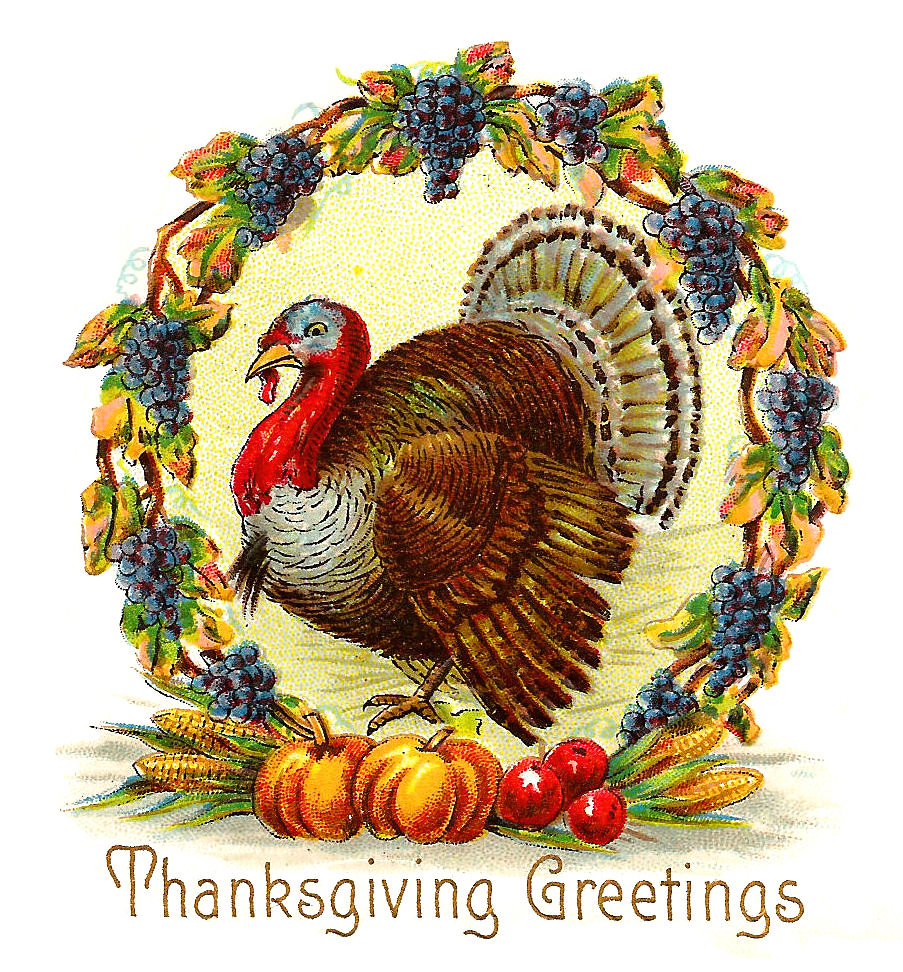 Thanksgiving Turkey Clip Art Free