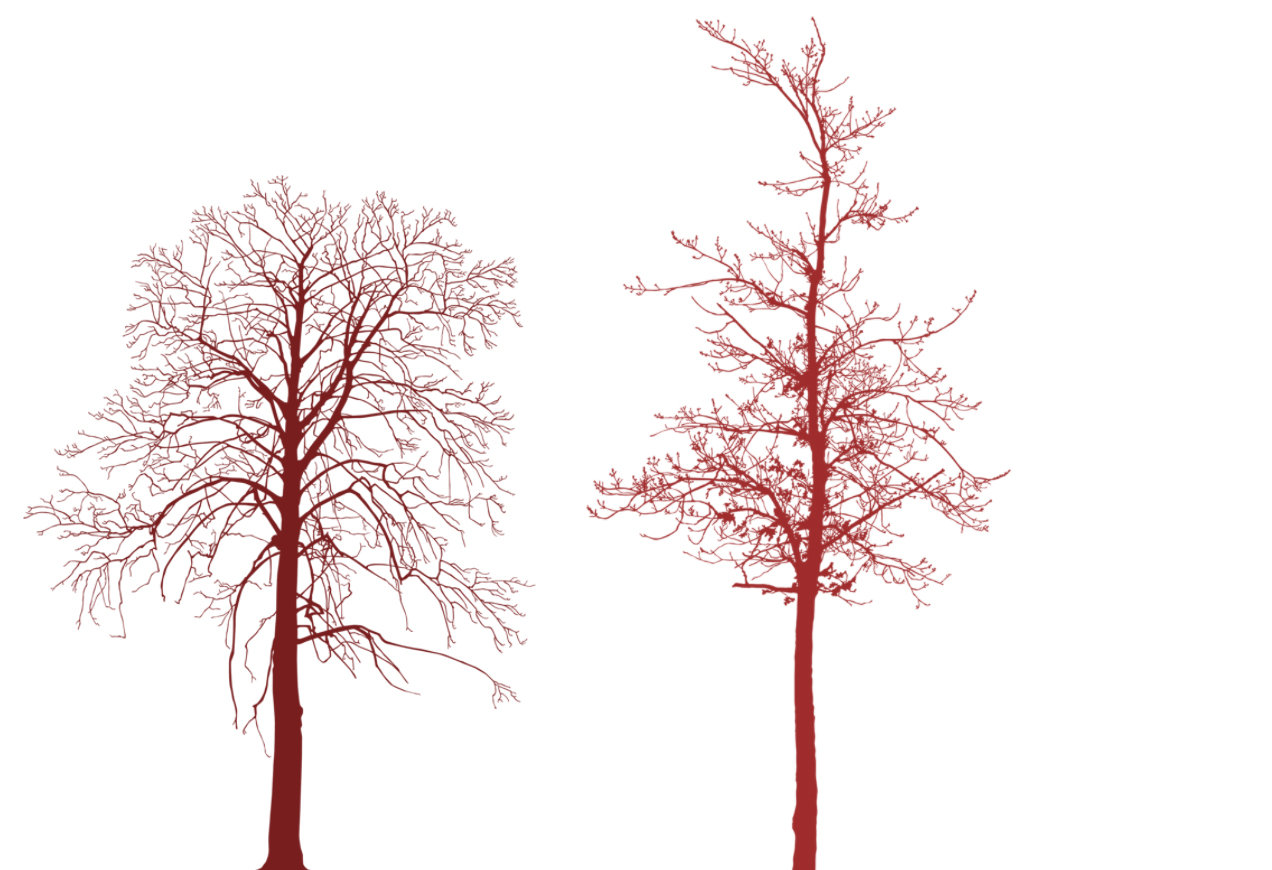 Tree Photoshop Brushes Transparent