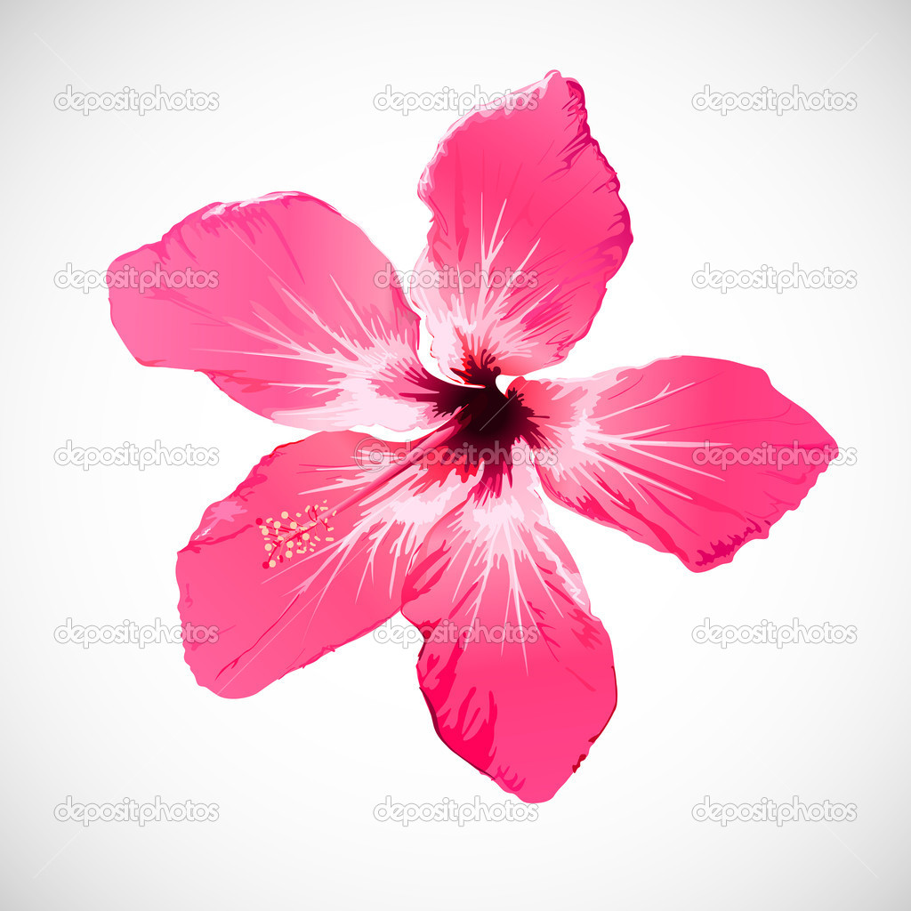 Tropical Flower Vector Tropical Flower Vector