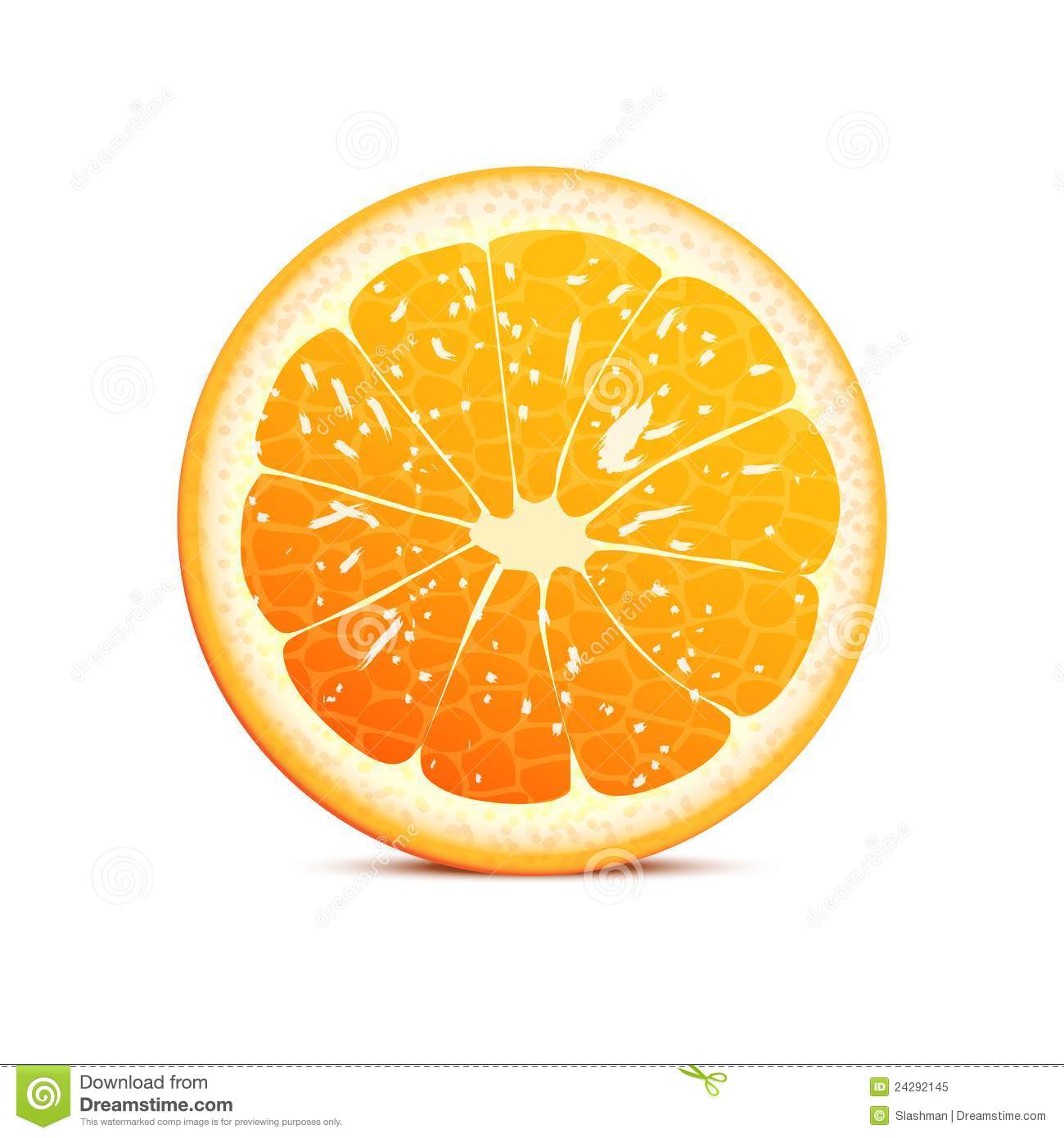 Vector Orange Fruit