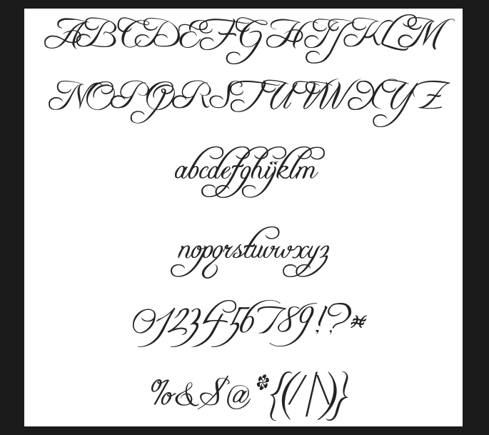Vintage French Script Font