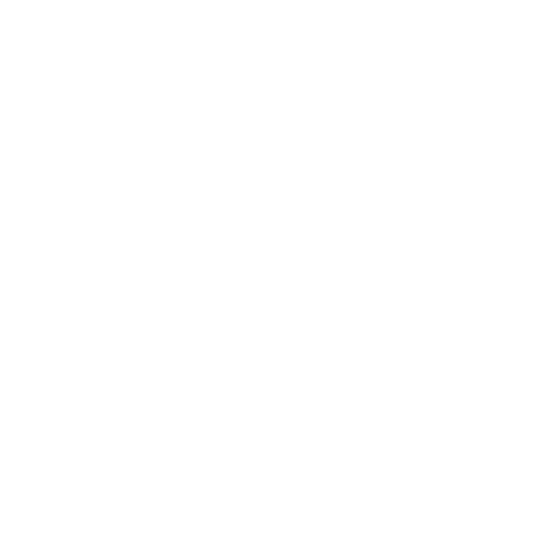 White Lock Icon