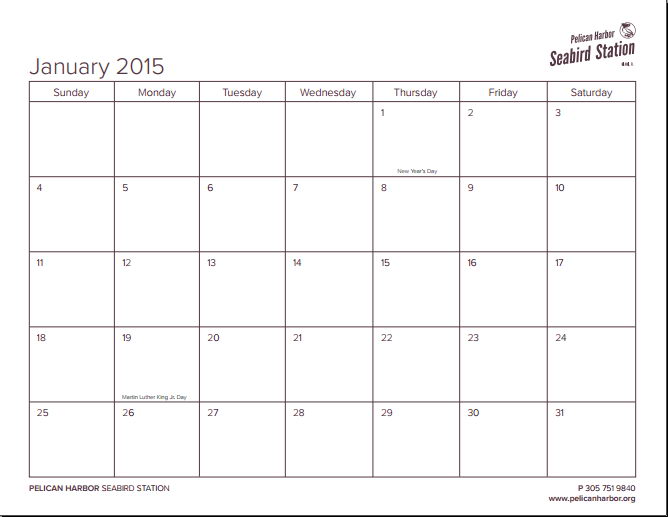 8 X 11 Printable Calendar 2015