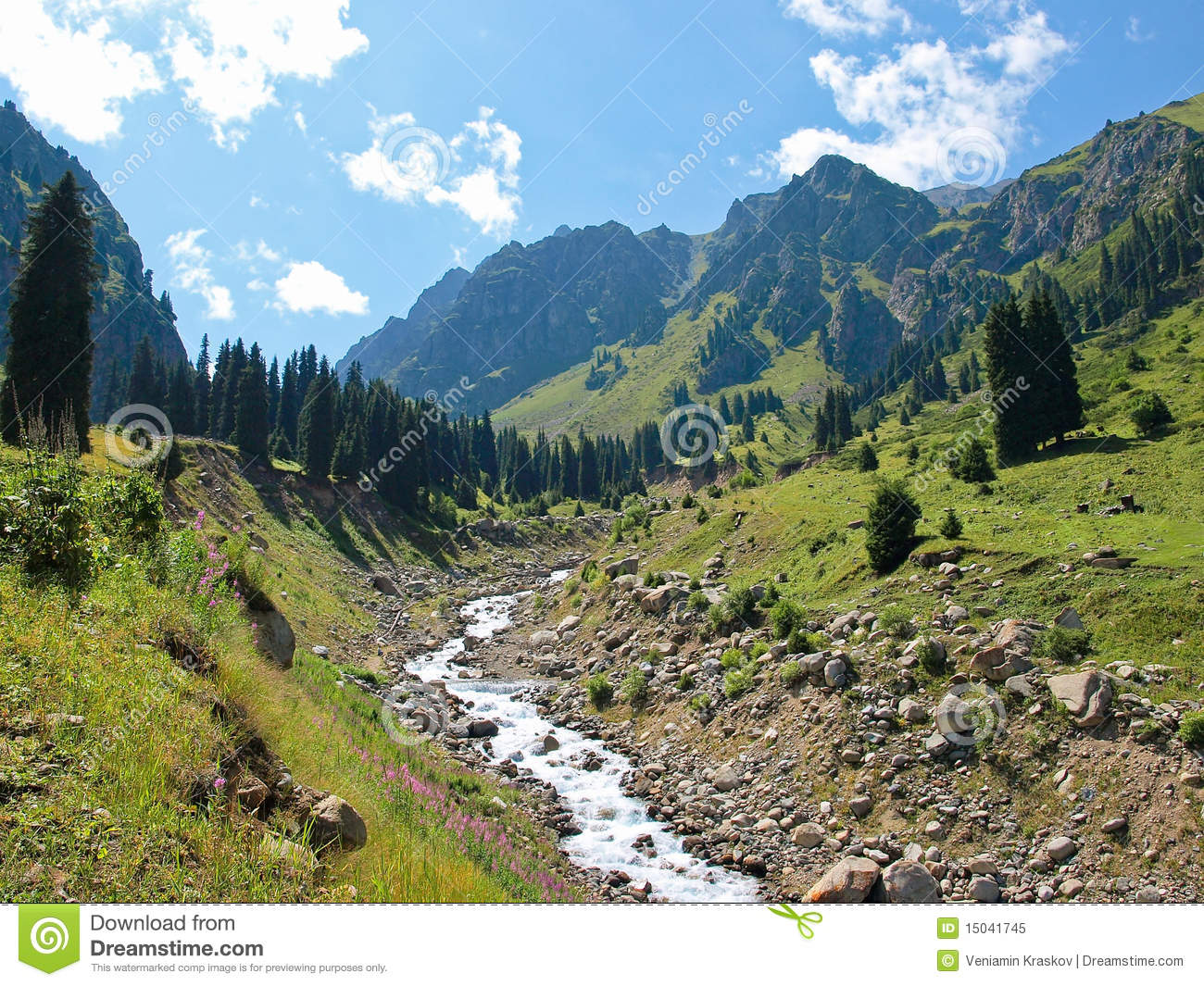 Alpine Landscape