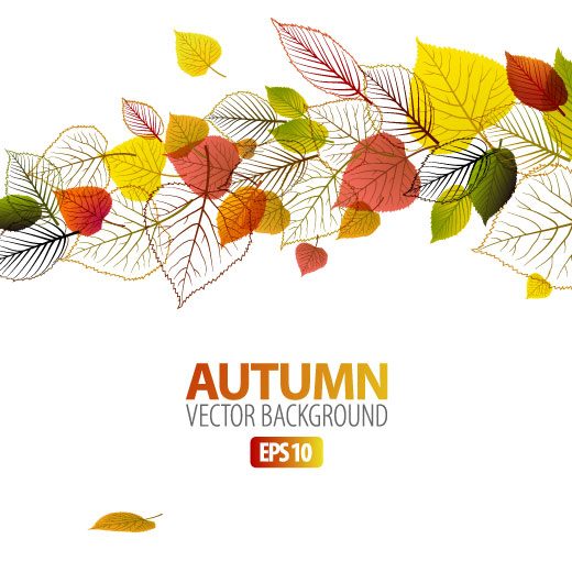 Autumn Leaves Vector Free