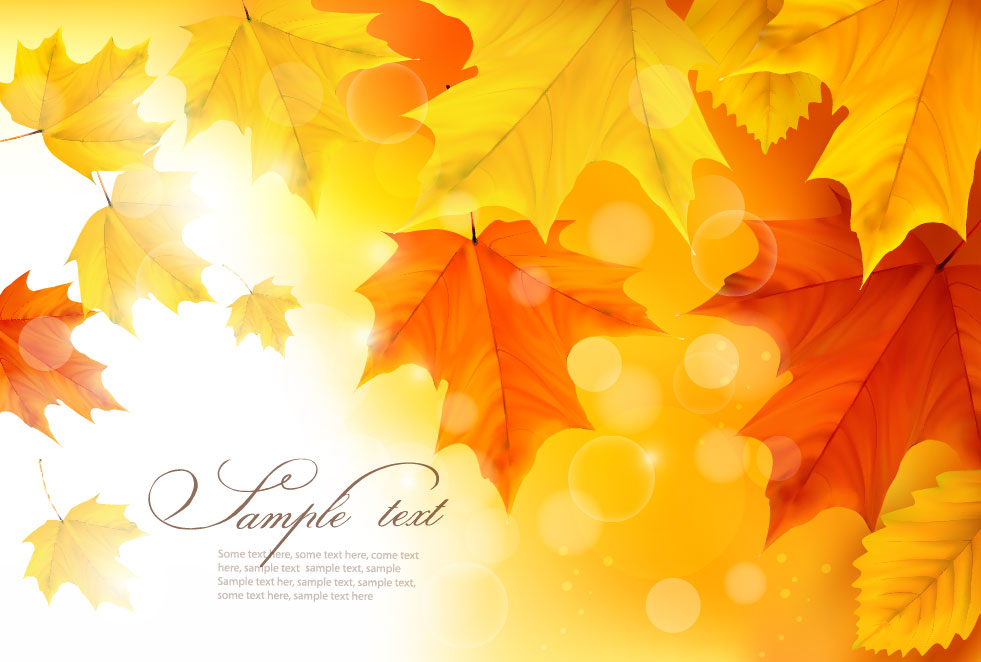 Autumn Leaves Vector Free