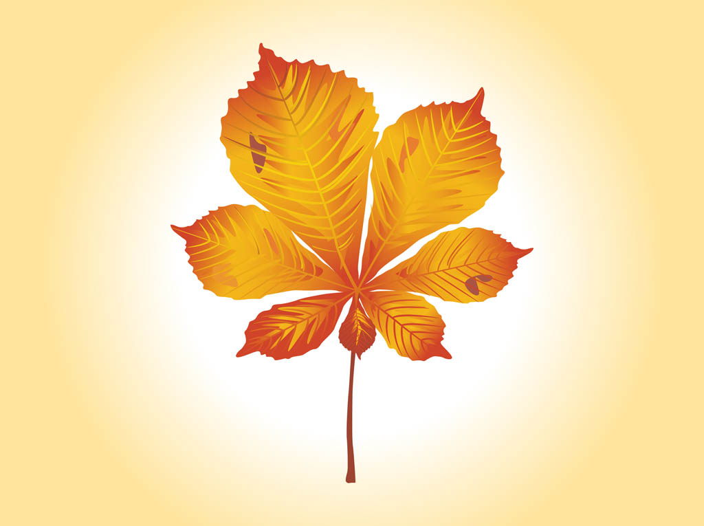 Autumn Leaves Vector Graphic