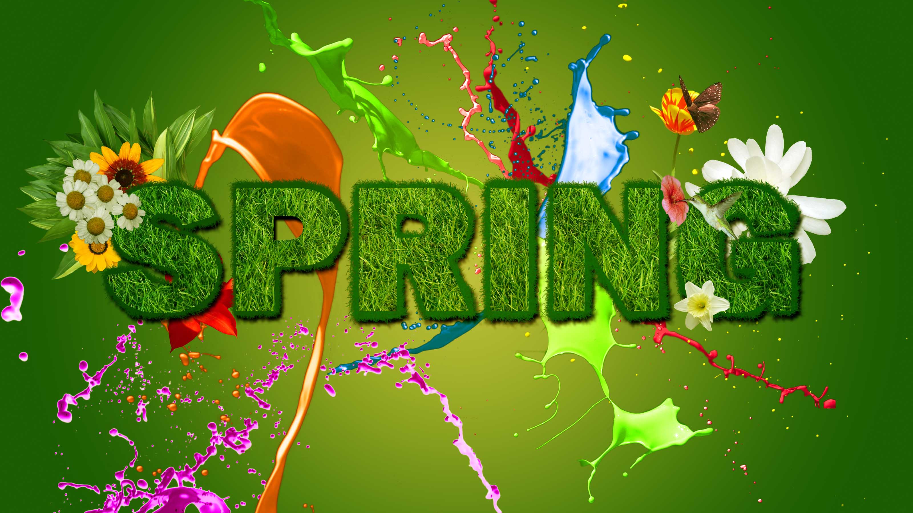 Bing Free Wallpaper Spring Flowers