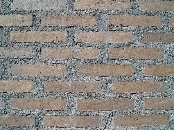 Brick Wall Texture