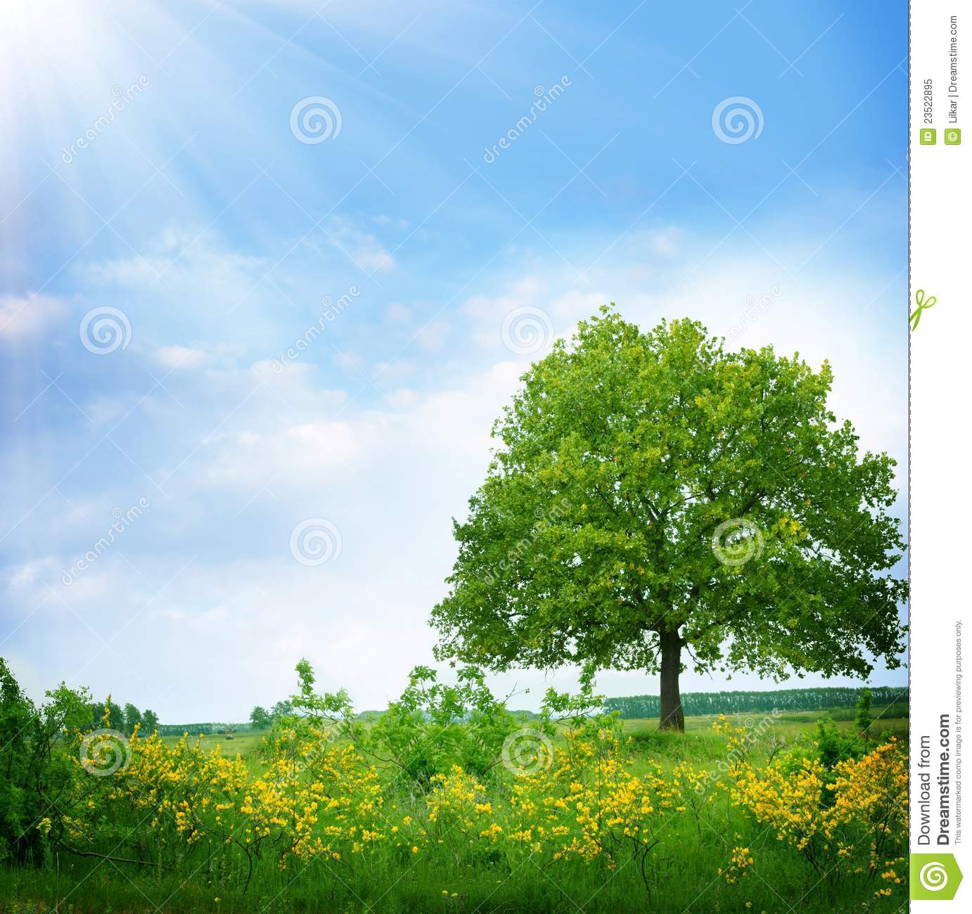 Copyright Free Images Summer Landscapes