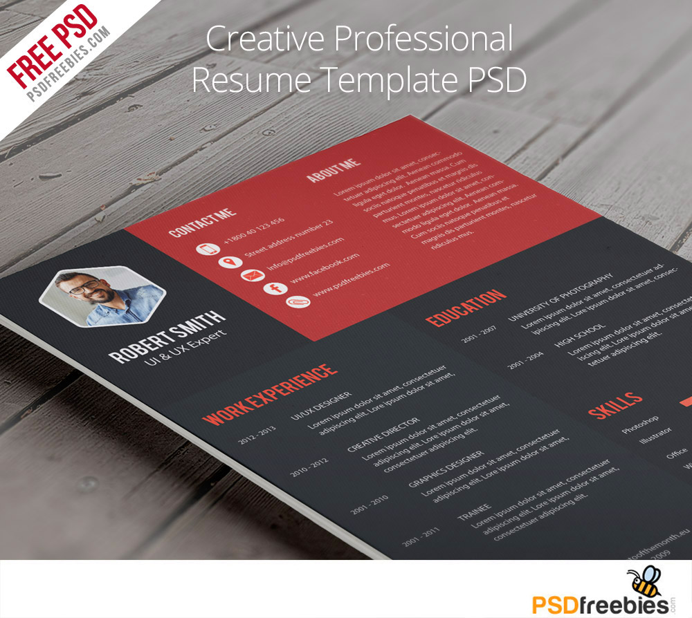 Creative Professional Resume Templates Free