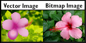 Difference Between Bitmap and Vector Graphics