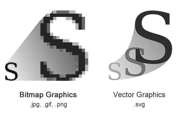 Difference Between Bitmap and Vector