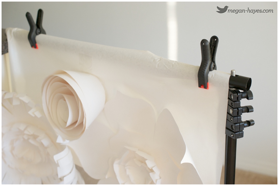 DIY Paper Flower Backdrop DIY Paper Flower Backdrop