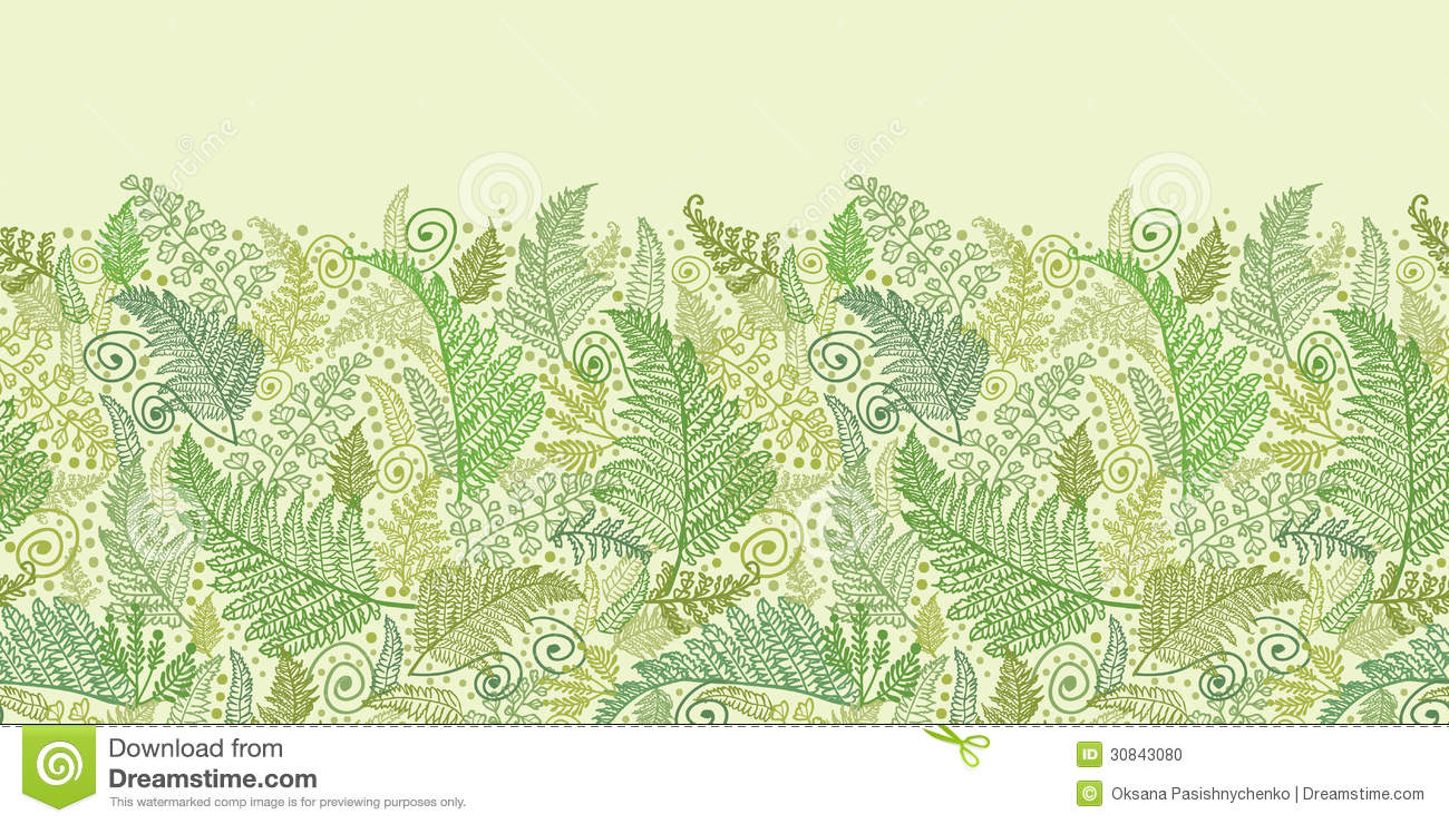 Ferns Leaves Line Art