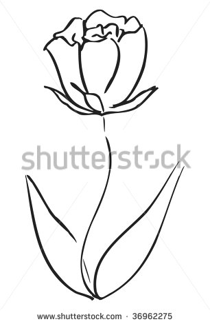 Flower Sketch Image Line Drawing