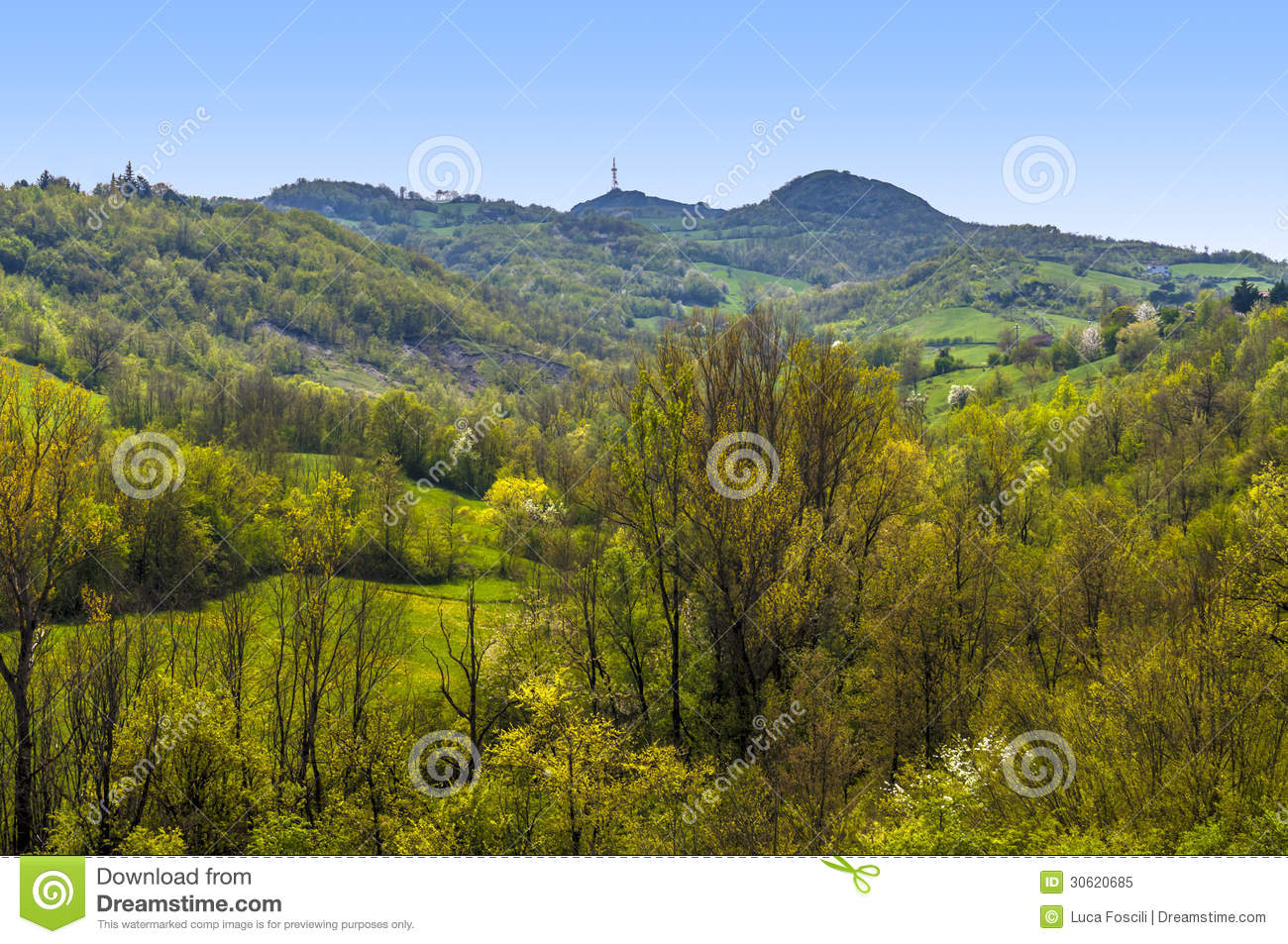 Free Country Landscape