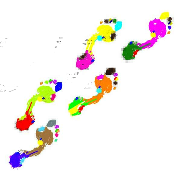 Free Vector Colorful Footprints