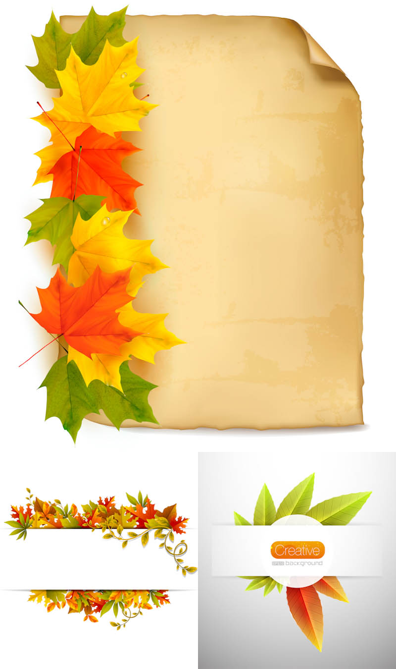 Free Vector Fall Leave Clip Art