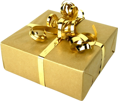 Gold Wrapped Christmas Present